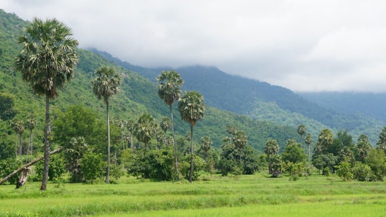 Why Cambodia Should Be on Your Travel List