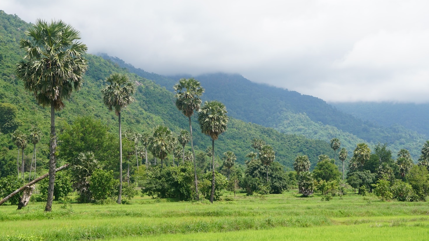 Why Cambodia Should Be on Your Travel List
