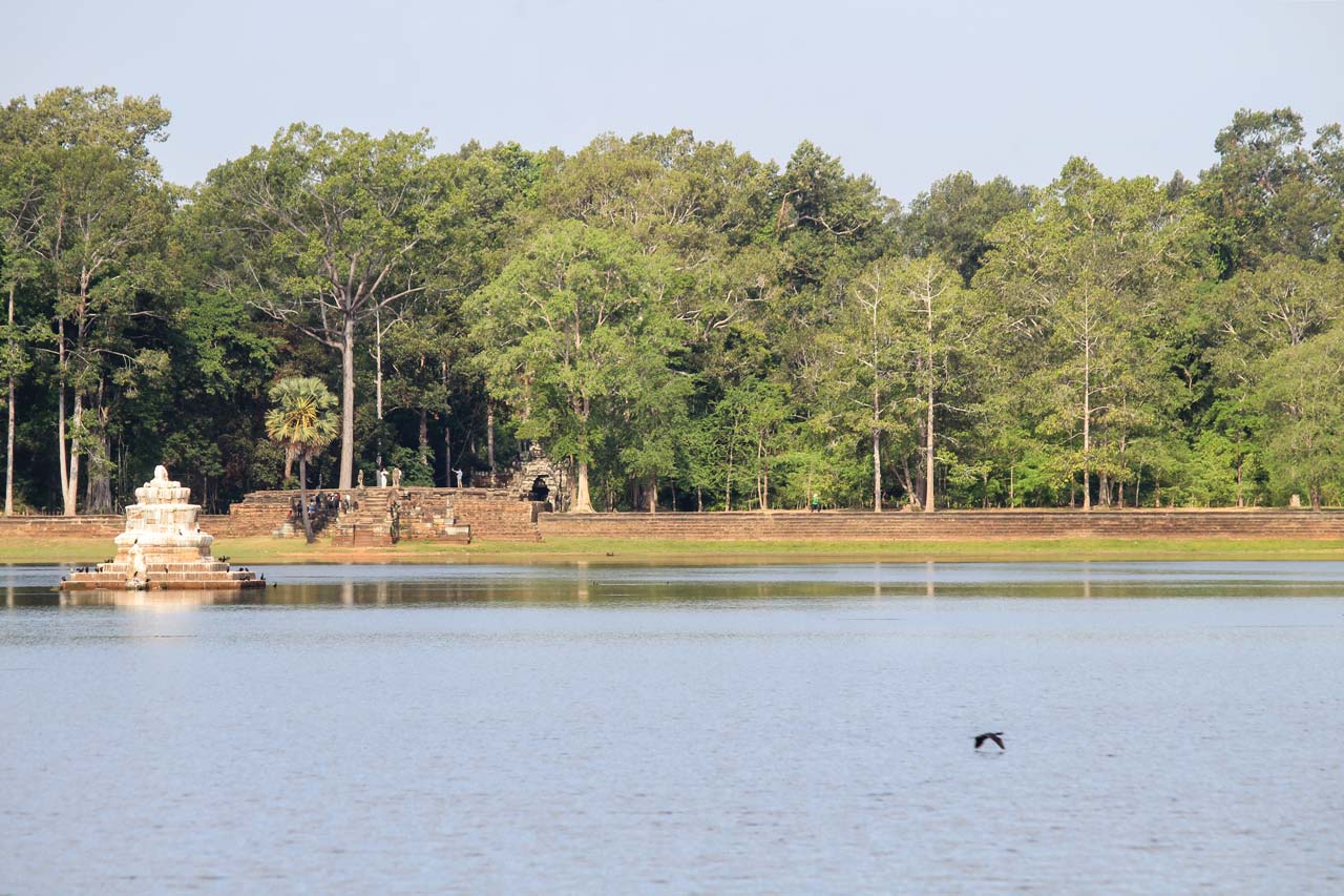 Srah Srang in April 2025: Tiny Wonders in an Unexpectedly Wet Season