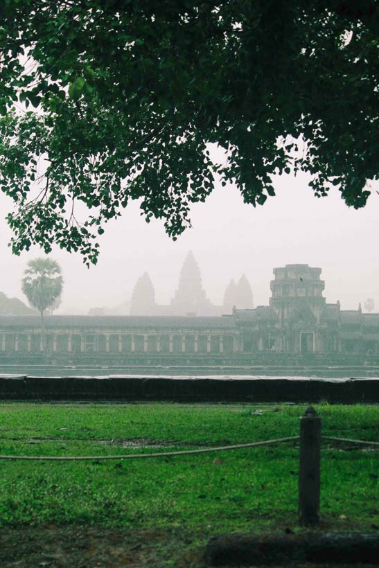 Moody, rain-soaked scene of Angkor Wat, with a tree framing the view.