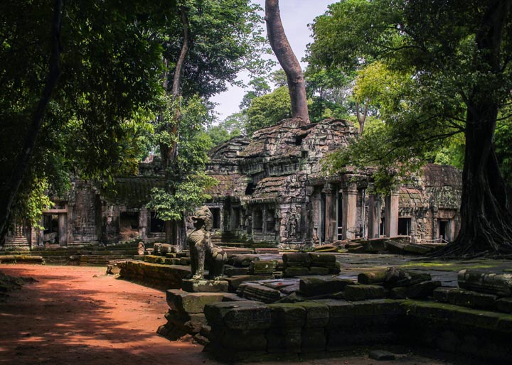 A front view of the guardian lion statue at Ta Prohm Temple’s east entrance, standing as a symbol of protection and strength. The weathered sandstone sculpture, adorned with intricate carvings, reflects the artistry of the Angkor era. Surrounded by moss-covered ruins and towering trees, the statue remains a silent sentinel of Cambodia’s rich heritage.