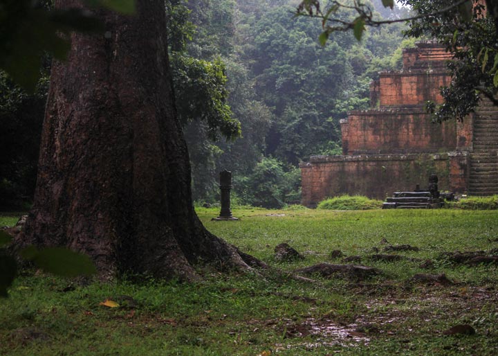 A large tree stands in the foreground with the ancient brick structure of Baksei Chamkrong temple partially visible in the background, surrounded by lush greenery and a misty rainforest atmosphere. Siem Reap, Cambodia