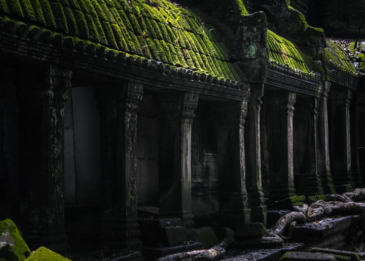 The ancient stone corridors of Ta Prohm Temple, adorned with intricate Khmer carvings, stand resilient amidst creeping tree roots. The rainy season nourishes vibrant green moss, coating the temple’s sandstone walls and enhancing its mystical ambiance. The interplay of historic architecture and thriving nature makes Ta Prohm a breathtaking testament to Cambodia’s rich heritage.
