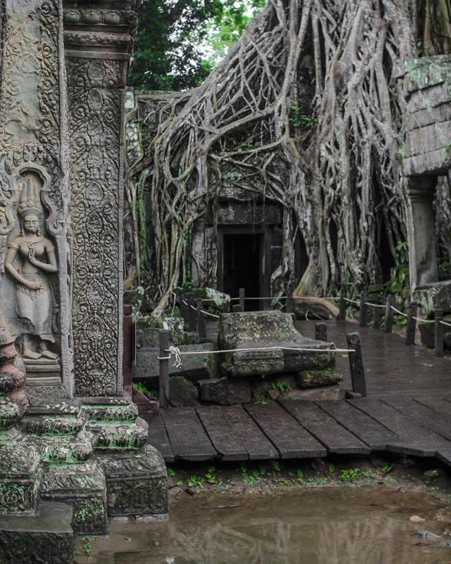 An intricately carved apsara dancer graces the weathered stone walls of Ta Prohm Temple, her delicate features preserved despite centuries of erosion. In the background, towering tree roots weave through the ancient ruins, their relentless growth merging history and nature. The rainy season nourishes the moss-covered surfaces, deepening the mystical ambiance of this sacred site.