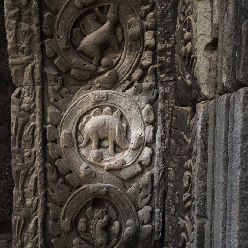 A curious bas-relief at Ta Prohm Temple, resembling a dinosaur-like figure with leaf-shaped patterns along its back. Some believe it depicts a stegosaurus, while others suggest it represents a chameleon or stylized ancient artwork. The weathered sandstone and intricate Khmer carvings add to the temple’s aura of mystery.